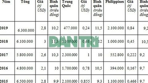 Trung Quốc nhập gạo từ Việt Nam tăng đột biến với giá cao kỷ lục