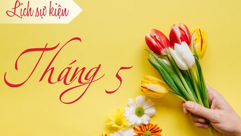 Dự kiến lịch sự kiện tháng 5/2019